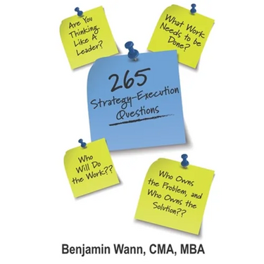 265 Strategy-Execution Questions: 265 Strategy-Execution Questions to assess your organization, function, team, and self