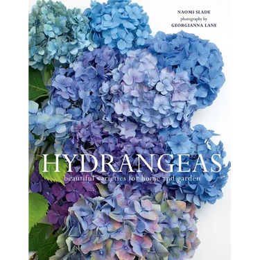 Hydrangeas: Beautiful Varieties for Home and Garden