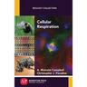 Cellular Respiration