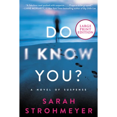 Do I Know You?: A Novel of Suspense