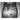 The Five Wolves