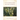 Illuminated Manuscript