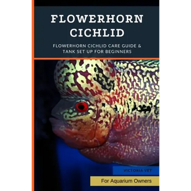 Flowerhorn Cichlid: Flowerhorn Cichlid Care Guide & Tank Set Up For Beginners
