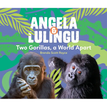 Angela & Lulingu: Two Gorillas, a World Apart