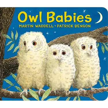Owl Babies