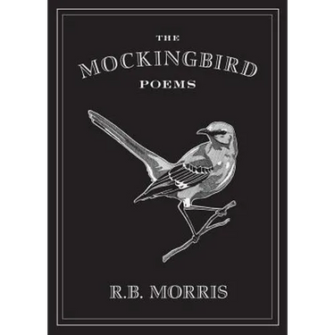 The Mockingbird Poems