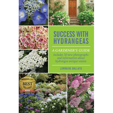 Success With Hydrangeas: A Gardener's Guide