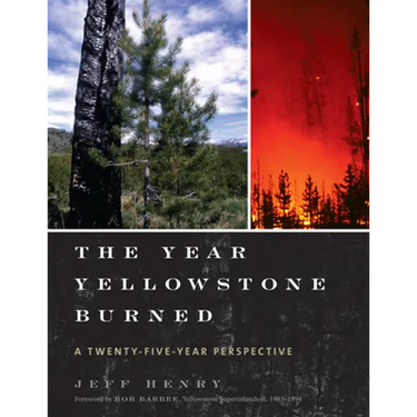 The Year Yellowstone Burned