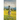 Coyote Valley