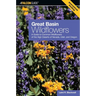 Great Basin Wildflowers