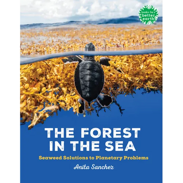 The Forest in the Sea: Seaweed Solutions to Planetary Problems