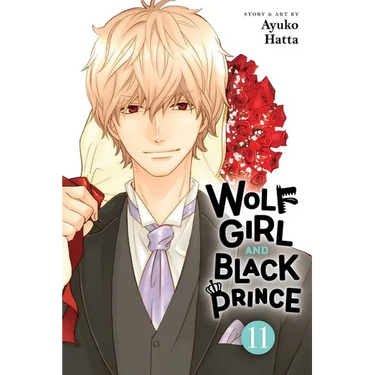 Wolf Girl and Black Prince, Vol. 11