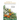 Guide to Medicinal Plants, A: An Illustrated Scientific and Medicinal Approach