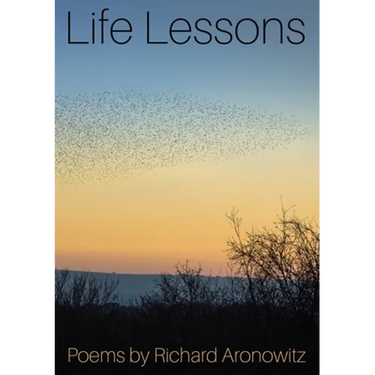 Life Lessons: Poems by Richard Aronowitz