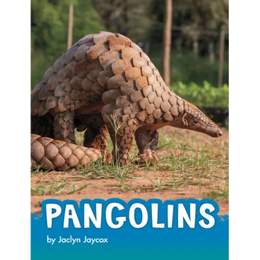 Pangolins