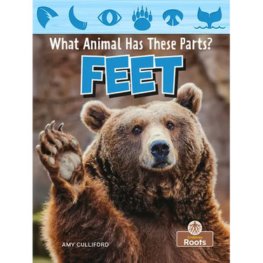 Feet