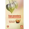 Cape gooseberry