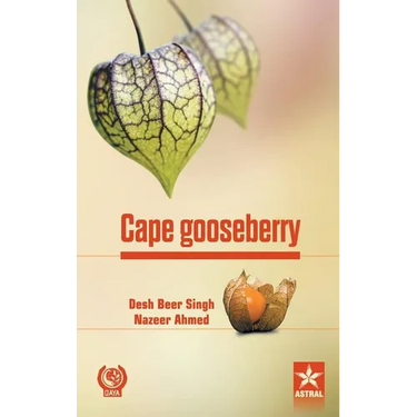 Cape gooseberry