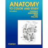 Anatomy to Color and Study Thorax Third Edition