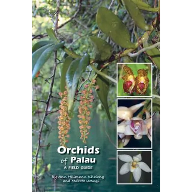Orchids of Palau: A Field Guide