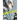 Wandance 11