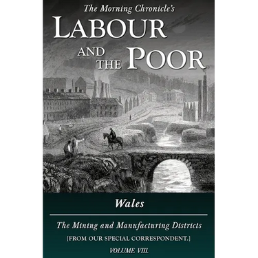 Labour and the Poor Volume VIII: Wales, The Mining and Manufacturing Districts