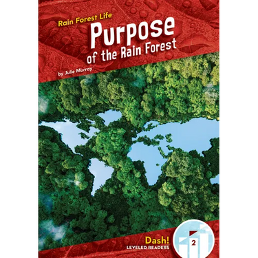 Purpose of the Rain Forest
