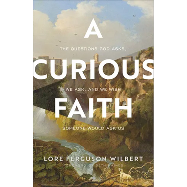 A Curious Faith: The Questions God Asks, We Ask, and We Wish Someone Would Ask Us