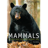 Mammals of Great Smoky Mountains National Park
