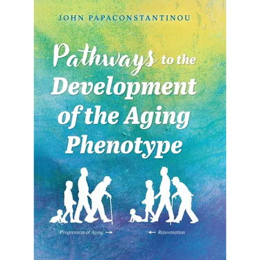 Pathways to the Development of the Aging Phenotype