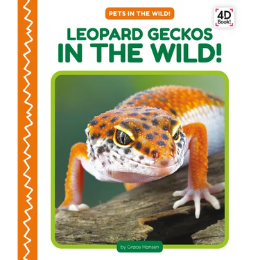 Leopard Geckos in the Wild!