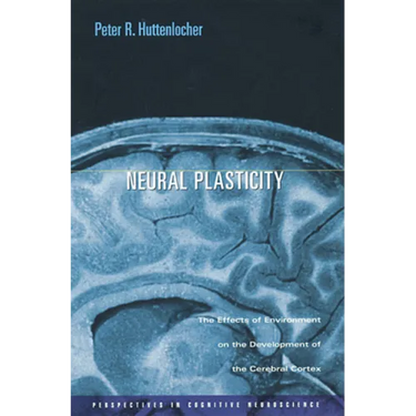 Neural Plasticity: The Effects of Environment on the Development of the Cerebral Cortex