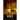 The Storm Rises