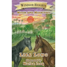 Windsor Heights Book 3: Moon and Midnight