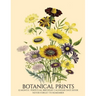 Perpetual Birthday Calendar: Botanical Prints 12 Month Date Book Daily Organizer for Birthdays, Important Dates, Special Days, Anniversaries