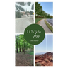 Love & Loss