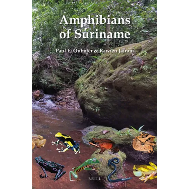 Amphibians of Suriname