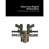 Felon Gun Rights Restoration: South East Region Gun Relief Guide