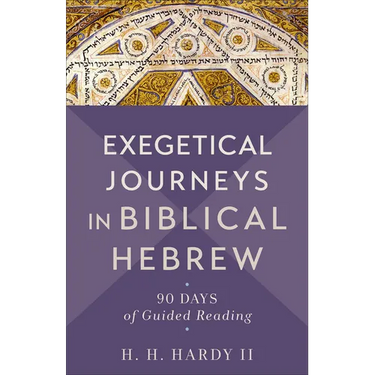 Exegetical Journeys in Biblical Hebrew: 90 Days of Guided Reading