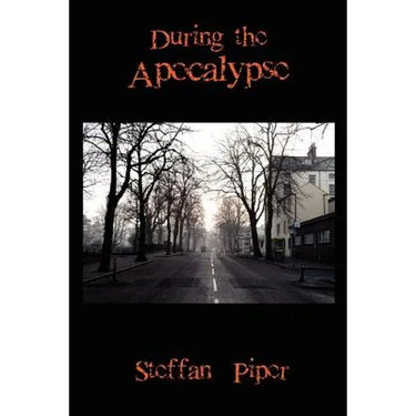 During the Apocalypse
