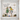 The Sea Glass Sisterhood
