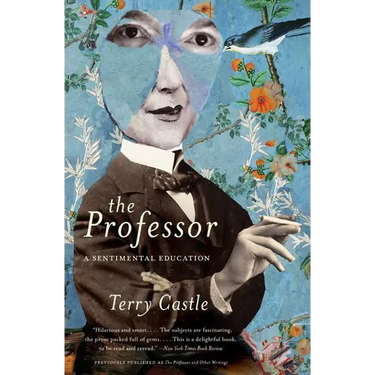 The Professor: A Sentimental Education