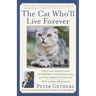 The Cat Who'll Live Forever: The Final Adventures of Norton, the Perfect Cat, and His Imperfect Human