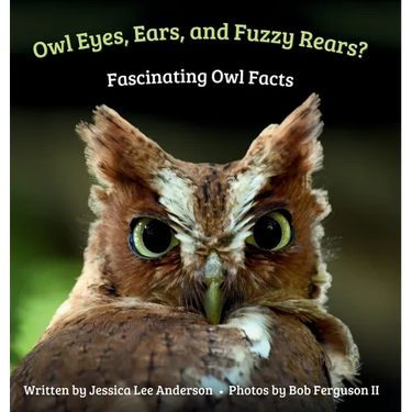 Owl Eyes, Ears, and Fluffy Rears? Fascinating Owl Facts