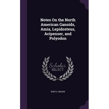 Notes On the North American Ganoids, Amia, Lepidosteus, Acipenser, and Polyodon