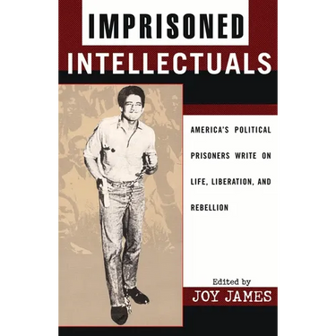 Imprisoned Intellectuals: America's Political Prisoners Write on Life, Liberation, and Rebellion