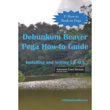 Debunkum Beaver How-to Guide: Installing and Testing AES