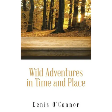Wild Adventures in Time and Place