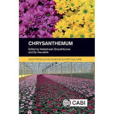 Chrysanthemum
