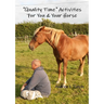 "Quality Time" Activities For You & Your Horse